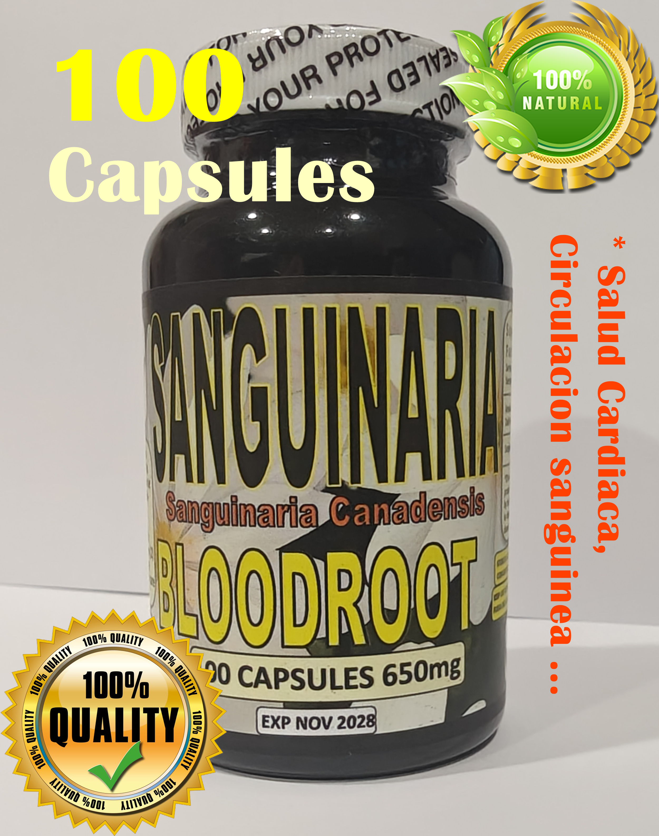 Sanguinaria 100 Capsulas,Blood root,Coon Root,Sanguinaria canadensis ...