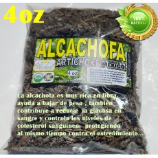 Alcachofa, alcachofera