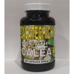 Calea Zacatechichi Mexican Dream Herb Hieba de Los suenos Leaf of God 100 Capsules/Capsulas 