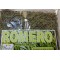 Romero, hojas de romero : Rosmarinus officinalis, Rosemary tea