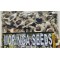 Semillas de Moringa : Moringa oleifera Seeds, Moringa Seeds, Organic moringa Seed