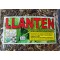  Llanten, lantén Mayor, Plantago major  : Plantein Herbal tea