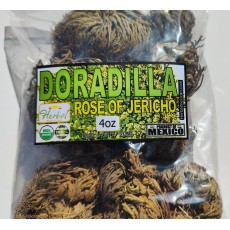 Doradilla o flor de peña, Coralilla, yamanquite xóchitl