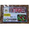 Axocopaque  : Gaultheria procumbens, Wintergreen herbs