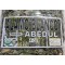 Alamo Blanco, Populus alba, chopo blanco : White Alamo, White poplar, silver poplar, silverleaf