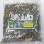 Alamo Blanco, Populus alba, chopo blanco : White Alamo, White poplar, silver poplar, silverleaf