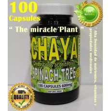 Chaya Capsules, Mayan miracle plant, Chaya tree, organic spinach tree 600mg