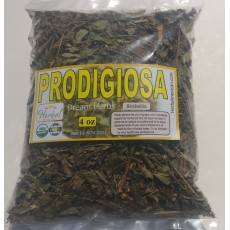 Prodigious Immortelle Herb Tea Brickelia Kalanchoe Pinnata Organic Prodigious : Prodigiosa Siempreviva Hierba Te Brickelia Kalanchoe Pinnata Organica
