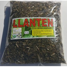  Llanten, lantén Mayor, Plantago major  : Plantein Herbal tea