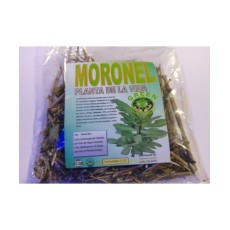 Moronel, Planta de La Vida Te Natural Potente Regenerador de Celulas Mexican Herbs : Moronel, Planta de La Vida Te Natural Potente Regenerador de Celulas