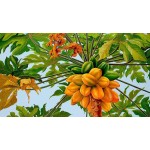 Hojas de papaya, Te de Papaya :  Papaya Tea leaf, Organic papaya leaves
