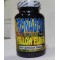 Tacoma Stans Trumpet Yellow Elder bells, Tronadora capsules